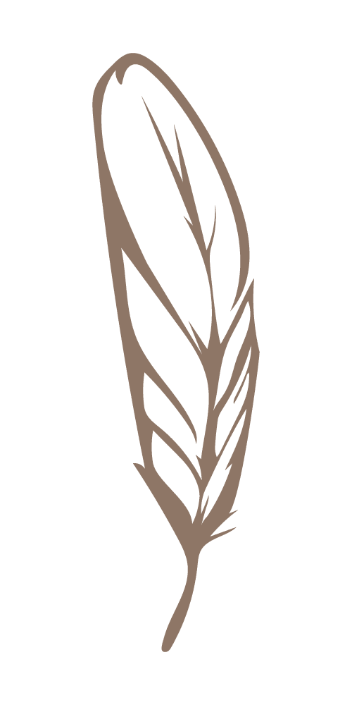 JZ_feather TAUPE@2x
